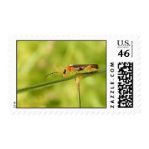 antenna bug postage