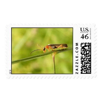antenna bug postage stamps by PicturePie