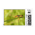 antenna bug postage