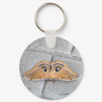 Antheraea polyphemus keychains by bhbphotos Antheraea polyphemus keychains