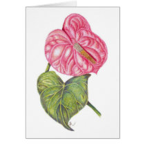 Antherium cards by MemePam Antherium cards