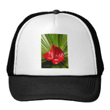 Anthirium Trucker Hats