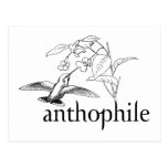 Anthophile Postcard