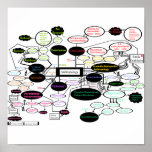 Anthropology Map Print