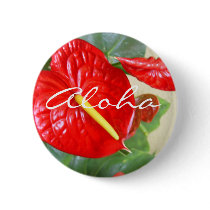 Anthurium Aloha  Button