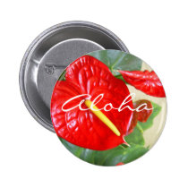 Anthurium Aloha  Button buttons