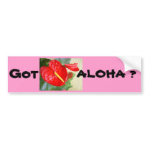 Anthurium bumper stickers by Reflekshins Anthurium bumper stickers