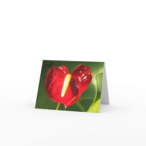 Anthurium Flower Notecard