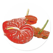 Anthurium lily stickers