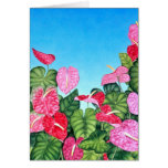 Anthurium Sky Cards