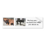 Anti-Animal-Abuse Bumper Sticker