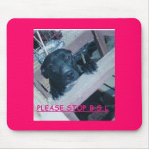 ANTI BSL MOUSE MATS