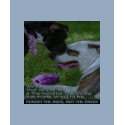 ANTI BSL t-shirts
