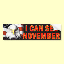 anti Democrat "I Can See November" sticker bumper stickers