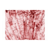 Anti Matter posters by bighumm Anti Matter posters