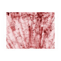 Anti Matter posters by bighumm Anti Matter posters
