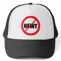 Anti-Newt Gingrich Mesh Hat
