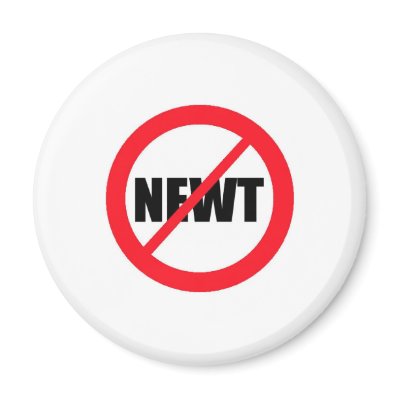 Anti-Newt Gingrich Refrigerator Magnet by bartstshirts