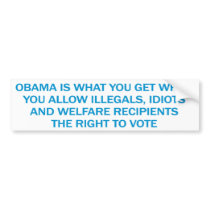 Anti Obama Bumper Sticker