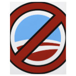 Anti Obama Custom Flyer