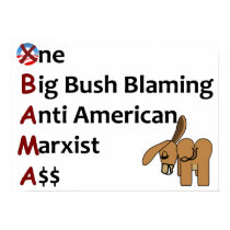 Anti Obama posters