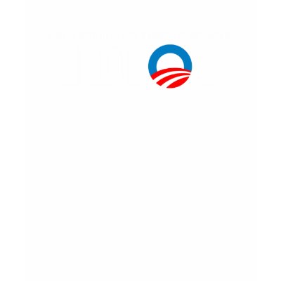 Anti-Obama - Somewhere In Kenya A Village Is Missi Tee Shirt