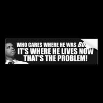 Anti Obama: Who Cares Where He Was Born? bumper stickers