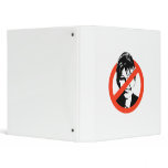 Anti-Palin Binders