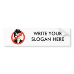 Anti-Palin Bumper Sticker