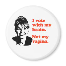 ANTI-PALIN / I voted with my brain magnets