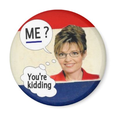 Anti-Palin Magnet by elfyboy
