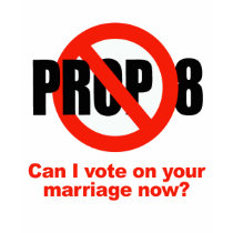 ANTI PROP 8 - Can I vote on your marriage t-shirts