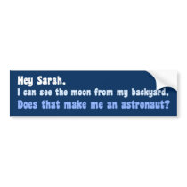 Anti Sarah Palin Bumper Sticker bumper stickers