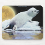 Anti-Sealhunt Cute Harp Seal Wildlife Mouse Pad mousepads