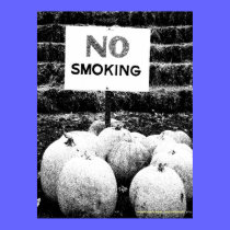 Anti-Smoking Pumpkins - B&W Sketch posters