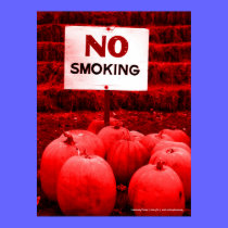 Anti-Smoking Pumpkins - Red Tint posters