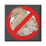 Anti-Squirrel Magnets