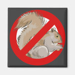 Anti-Squirrel Magnets