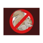 Anti-Squirrel Postcards