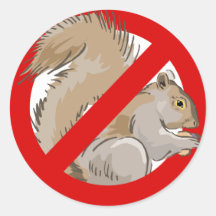 Anti-Squirrel Round Stickers