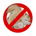 Anti-Squirrel t-shirts