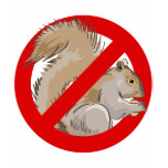 Anti-Squirrel t-shirts