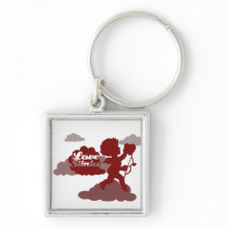 Anti Valentines Day Cupid Love stinks Keychain