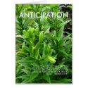 Anticipation card