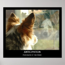 Anticipation Posters