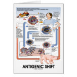 Antigenic Shift (Virus Transmission) Card
