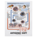 Antigenic Shift (Virus Transmission) flyers