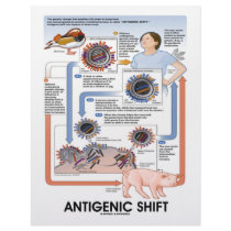 Antigenic Shift (Virus Transmission) letterhead by wordsunwords Antigenic Shift (Virus Transmission) letterhead