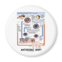 Antigenic Shift (Virus Transmission) magnets by wordsunwords Antigenic Shift (Virus Transmission) magnets