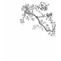 Antigone Foundation v-neck (prints best in white) t-shirts